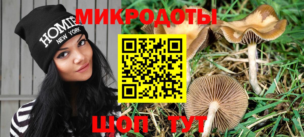 Фурманов  Галлюциногенные грибы Psilocybine cubensis  Вход с VPN 