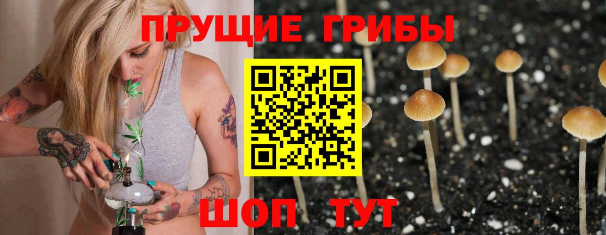 Галлюциногенные грибы прущие грибы Фурманов